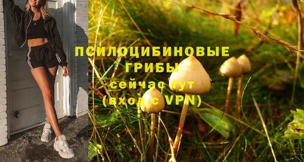 хмурый Верхнеуральск