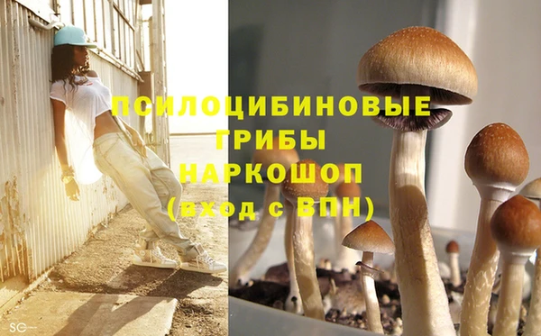 прущая мука Верхний Тагил