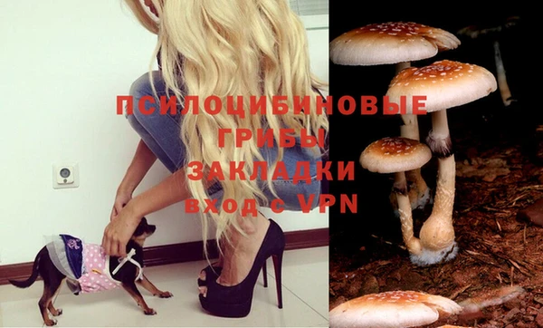 прущая мука Верхний Тагил