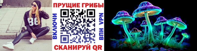 где найти наркотики  Ковдор  Псилоцибиновые грибы ЛСД 